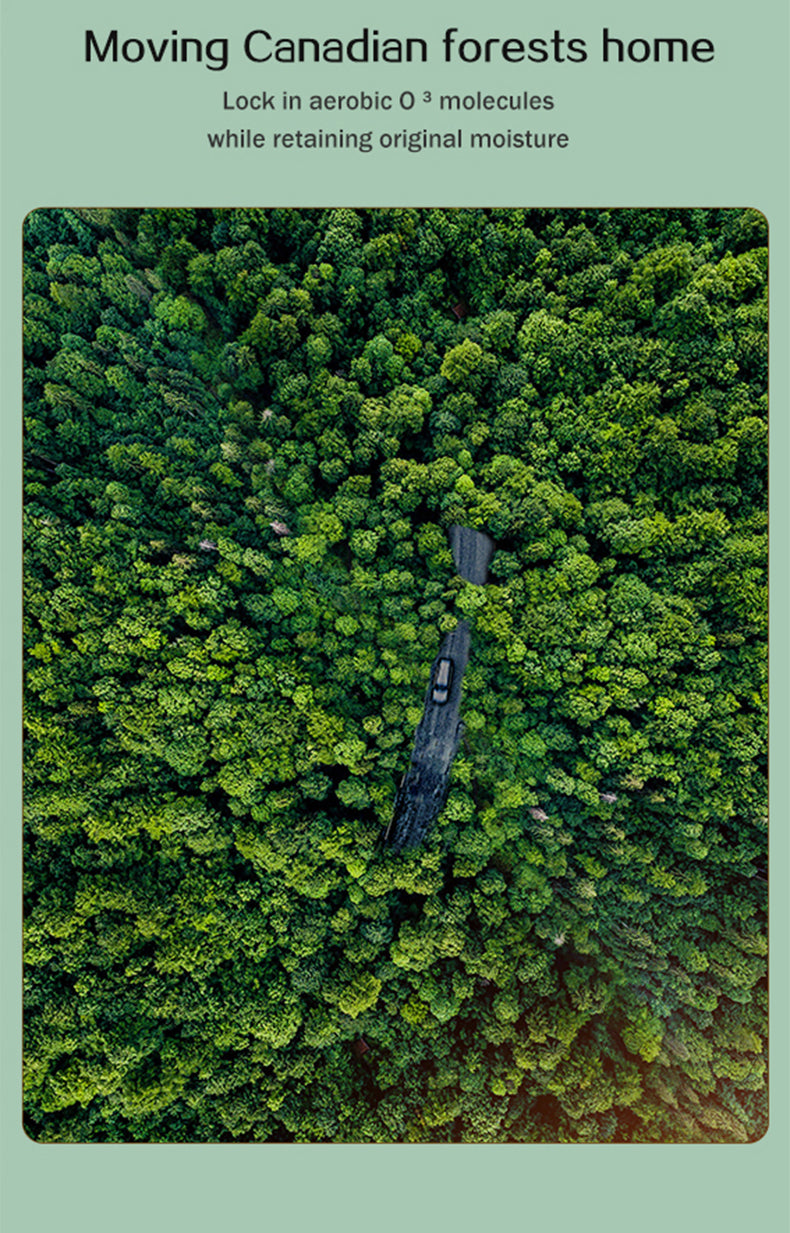 NaturalDoctor-41°C Infrared sauna